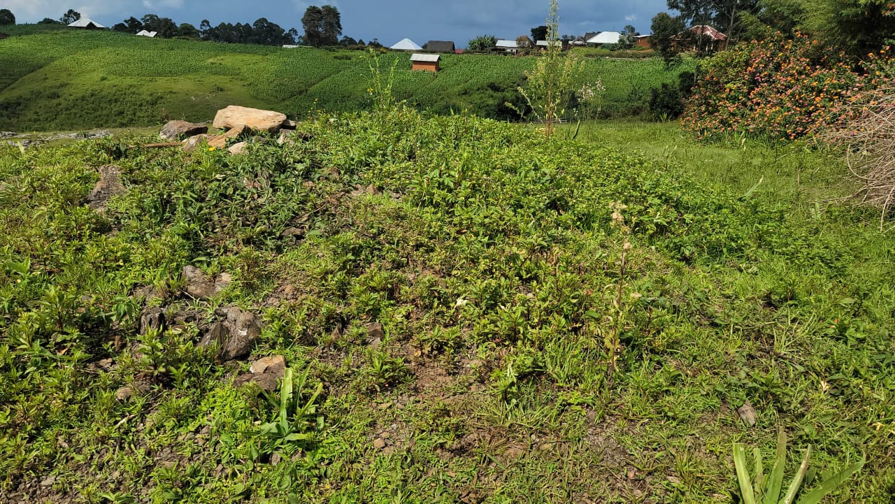 Btuu Witang — the sacred stone mound at Mbajeng